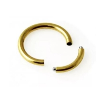 Smiley piercing segment ring 1.6 mm / 10 mm gold plated
