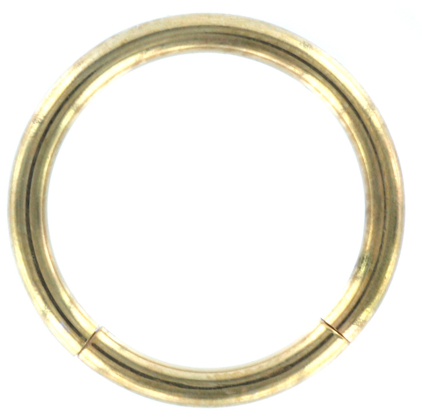 Goudkleurige Smooth Segment Ring 1,6 mm x 12 mm